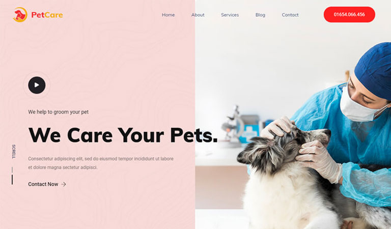 Modern veteriner web tasarımı örneği