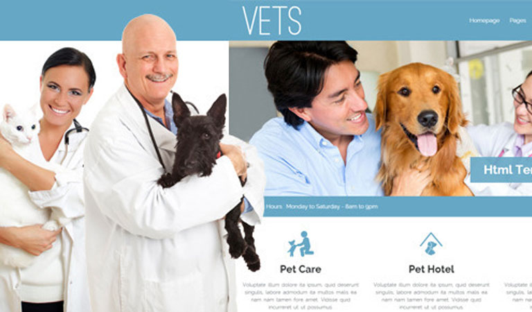 Şık veteriner web tasarımı örneği