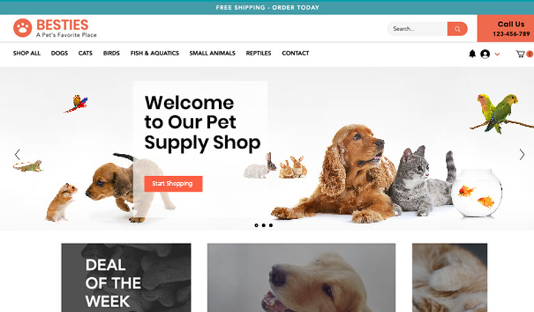 Veteriner web tasarımı örneği