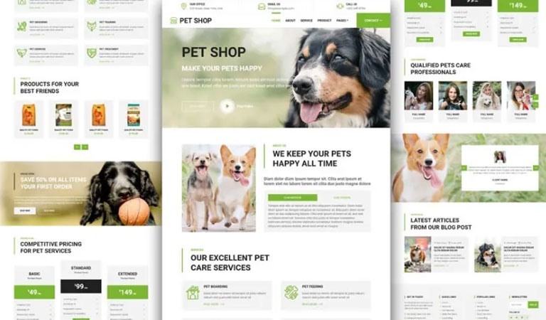 Veteriner web tasarımı örneği