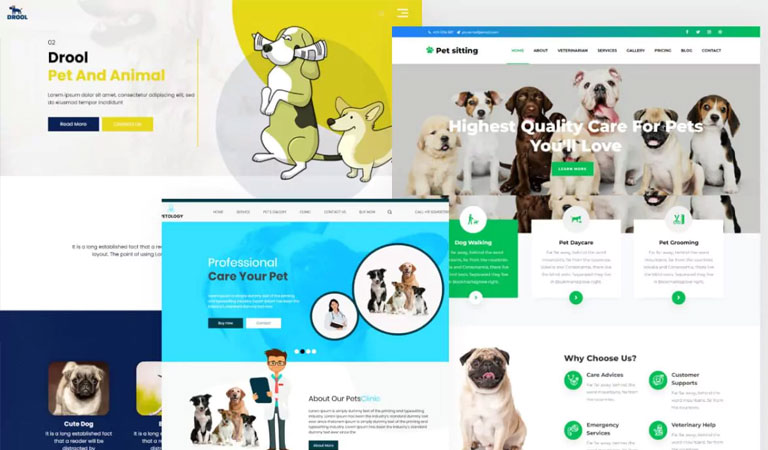 Veteriner web tasarımı örneği